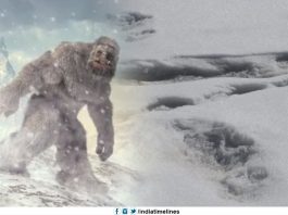 Indian army claims to have sighted footprints of Yeti