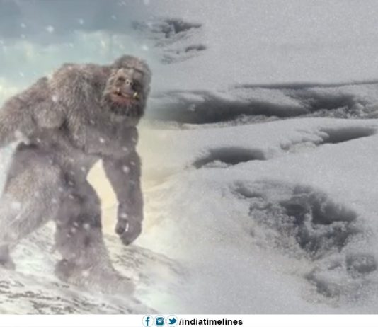 Indian army claims to have sighted footprints of Yeti