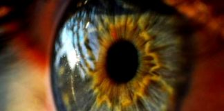 3D printed artificial corneas mimic human eyes