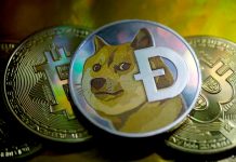 Dogecoin, Bitcoin, Ethereum Prices: Crypto caused havoc