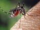 Zika Virus: So far 28 patients of Zika in Kerala: know everything about this mosquito-borne virus