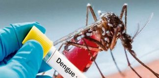 UP: More than 100 patients died of dengue-viral so far- 75 died in Firozabad only