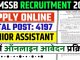 RSMSSB Recruitment 2024