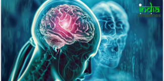 Exploring Risk Factors of Brain Tumors