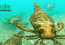 Gigantic 8-foot sea scorpions, significantly larger than humans found by scientists