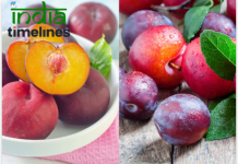 Health Benefits of Plums