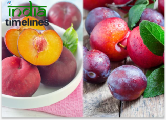 Health Benefits of Plums