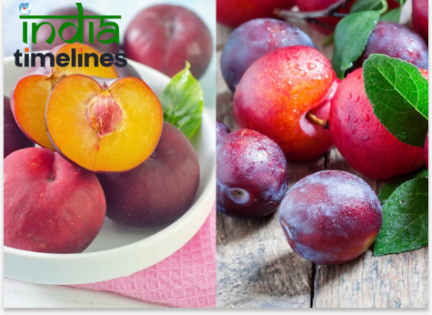 Health Benefits of Plums