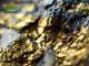 How Earthquakes May Be Responsible for the Formation of Gold Nuggets: New Study Reveals