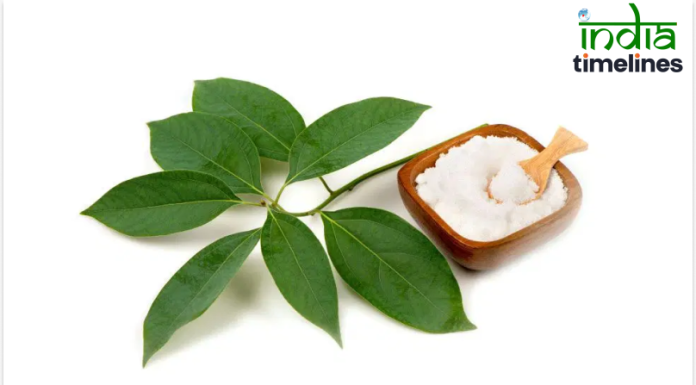 6 Wonderful Benefits of Camphor for Skin