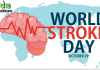 World Stroke Day Banner